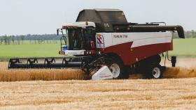 США предсказали рекордный урожай пшеницы и потребления в мире